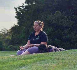 animal reiki with sunset