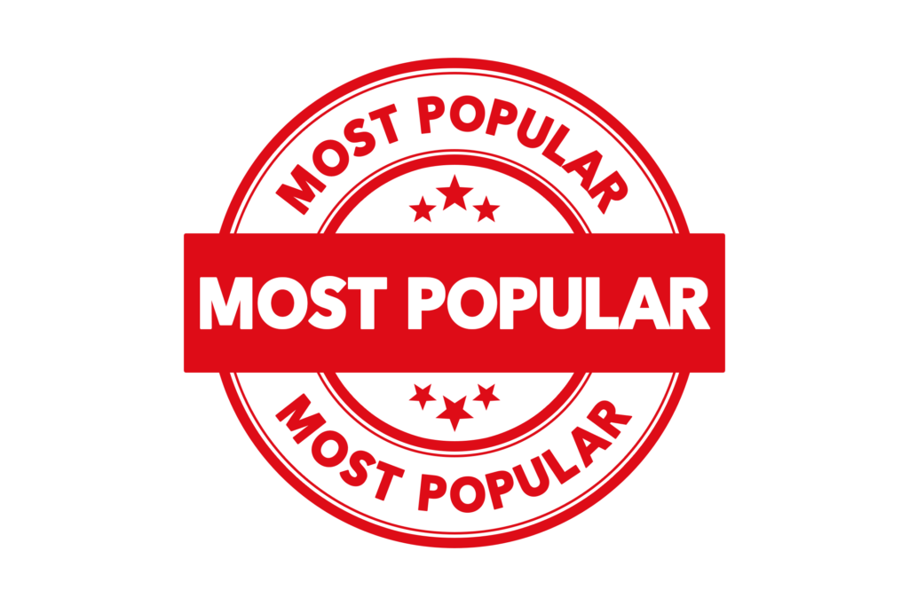 most popular dog training programs