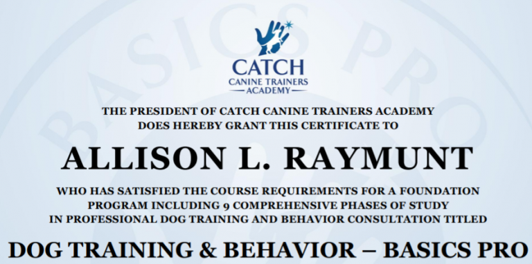 Dog Training Diploma
