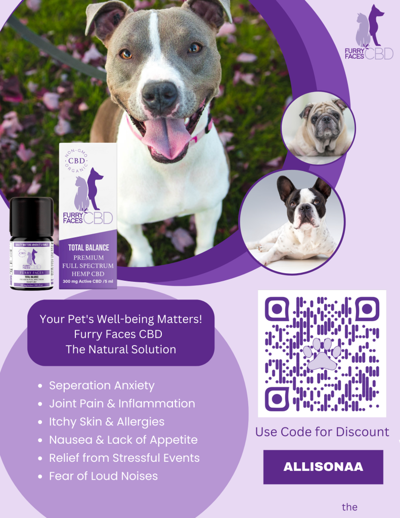 CBD oil for my dogs, CBD oil for pets