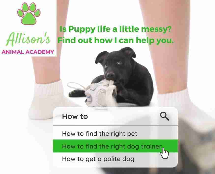 How to